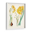 Botánicos Brillantes Iii | Cuadro decorativo de Canvas Lab