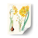 Botánicos Brillantes Iii | Cuadro decorativo de Canvas Lab