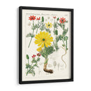 Botánicos Brillantes Iv | Cuadro decorativo de Canvas Lab