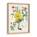 Botánicos Brillantes Iv | Cuadro decorativo de Canvas Lab