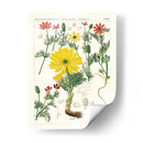 Botánicos Brillantes Iv | Cuadro decorativo de Canvas Lab