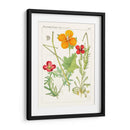 Botánicos Brillantes V | Cuadro decorativo de Canvas Lab