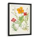 Botánicos Brillantes V | Cuadro decorativo de Canvas Lab