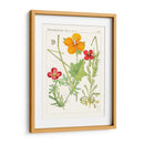 Botánicos Brillantes V | Cuadro decorativo de Canvas Lab