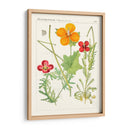 Botánicos Brillantes V | Cuadro decorativo de Canvas Lab