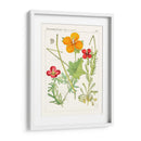 Botánicos Brillantes V | Cuadro decorativo de Canvas Lab