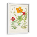 Botánicos Brillantes V | Cuadro decorativo de Canvas Lab