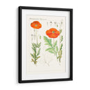 Botánicos Brillantes Vi | Cuadro decorativo de Canvas Lab