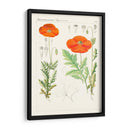 Botánicos Brillantes Vi | Cuadro decorativo de Canvas Lab