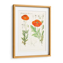 Botánicos Brillantes Vi | Cuadro decorativo de Canvas Lab