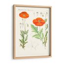 Botánicos Brillantes Vi | Cuadro decorativo de Canvas Lab