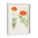 Botánicos Brillantes Vi | Cuadro decorativo de Canvas Lab