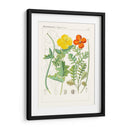 Botanics Brillantes Vii | Cuadro decorativo de Canvas Lab