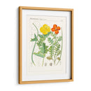 Botanics Brillantes Vii | Cuadro decorativo de Canvas Lab