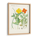 Botanics Brillantes Vii | Cuadro decorativo de Canvas Lab