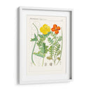 Botanics Brillantes Vii | Cuadro decorativo de Canvas Lab