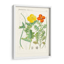 Botanics Brillantes Vii | Cuadro decorativo de Canvas Lab