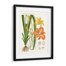 Botánicos Brillantes Viii | Cuadro decorativo de Canvas Lab