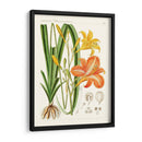 Botánicos Brillantes Viii | Cuadro decorativo de Canvas Lab