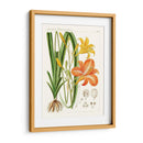 Botánicos Brillantes Viii | Cuadro decorativo de Canvas Lab