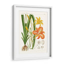 Botánicos Brillantes Viii | Cuadro decorativo de Canvas Lab