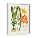 Botánicos Brillantes Viii | Cuadro decorativo de Canvas Lab