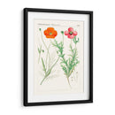 Botánicos Brillantes Ix | Cuadro decorativo de Canvas Lab