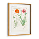Botánicos Brillantes Ix | Cuadro decorativo de Canvas Lab