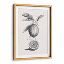 Limones Antiguos Y Naranjas I | Cuadro decorativo de Canvas Lab