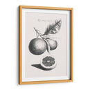 Limones Antiguos Y Naranjas Ii | Cuadro decorativo de Canvas Lab