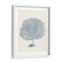 Colección De Coral Antigua I - Vision Studio | Cuadro decorativo de Canvas Lab