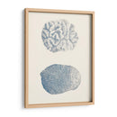 Colección De Coral Antigua Vii - Vision Studio | Cuadro decorativo de Canvas Lab