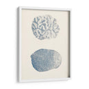 Colección De Coral Antigua Vii - Vision Studio | Cuadro decorativo de Canvas Lab