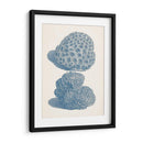 Colección De Coral Antigua Viii - Vision Studio | Cuadro decorativo de Canvas Lab