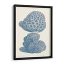 Colección De Coral Antigua Viii - Vision Studio | Cuadro decorativo de Canvas Lab