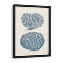Colección De Coral Antigua Ix - Vision Studio | Cuadro decorativo de Canvas Lab