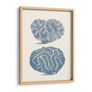 Colección De Coral Antigua Ix - Vision Studio | Cuadro decorativo de Canvas Lab