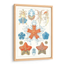 Especie De Sealife I - Vision Studio | Cuadro decorativo de Canvas Lab