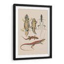 Lagartos Antiguos Iv | Cuadro decorativo de Canvas Lab