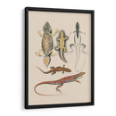 Lagartos Antiguos Iv | Cuadro decorativo de Canvas Lab