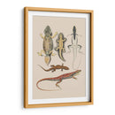 Lagartos Antiguos Iv | Cuadro decorativo de Canvas Lab