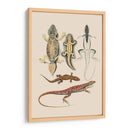 Lagartos Antiguos Iv | Cuadro decorativo de Canvas Lab