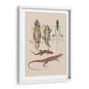 Lagartos Antiguos Iv | Cuadro decorativo de Canvas Lab