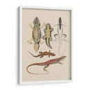 Lagartos Antiguos Iv | Cuadro decorativo de Canvas Lab