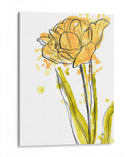 Contornos De Primavera I - June Erica Vess | Cuadro decorativo de Canvas Lab
