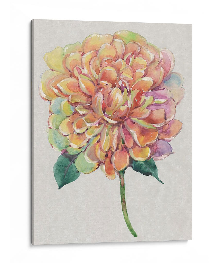 Multicolor Floral I - Tim OToole | Cuadro decorativo de Canvas Lab