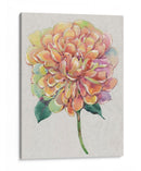 Multicolor Floral I - Tim OToole | Cuadro decorativo de Canvas Lab