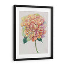 Multicolor Floral I - Tim OToole | Cuadro decorativo de Canvas Lab