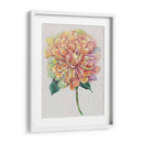 Multicolor Floral I - Tim OToole | Cuadro decorativo de Canvas Lab