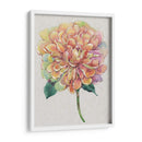 Multicolor Floral I - Tim OToole | Cuadro decorativo de Canvas Lab